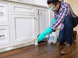 Best Pest Control for Multi-Family Homes  in Fayetteville, NC